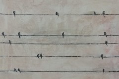 pajaros-2
